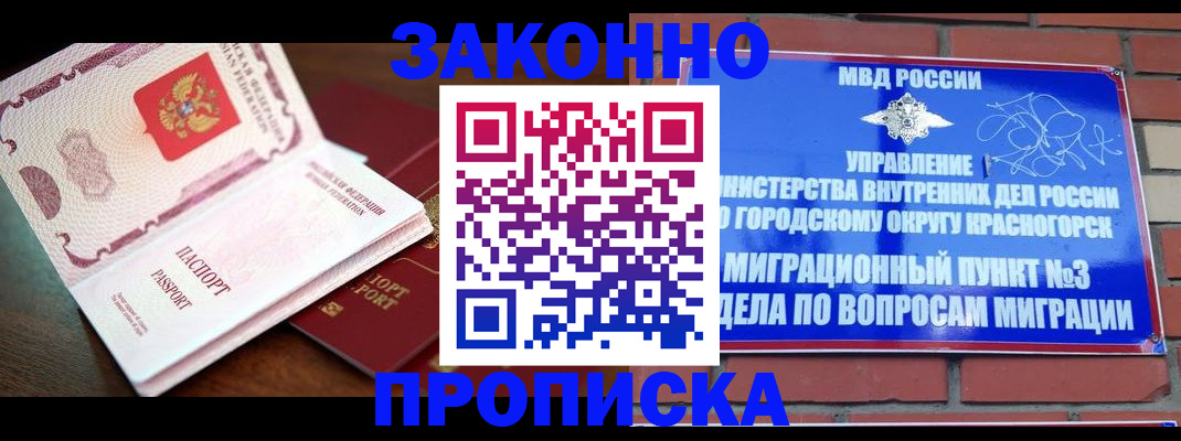 прописка для школы в Курчалом